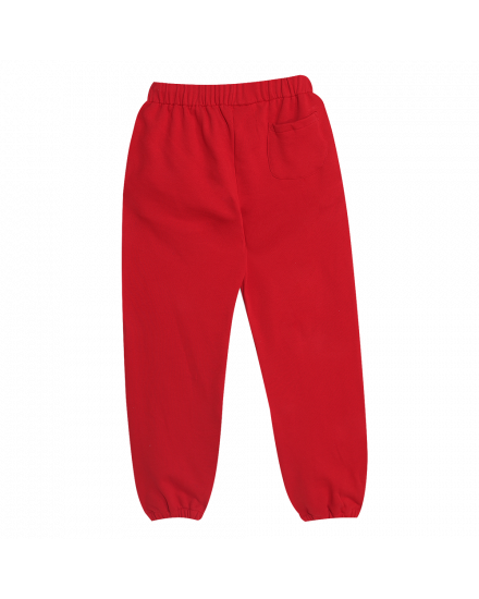 JOURNEY JOGGER PANTS - RED